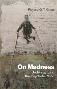 bokomslag On Madness