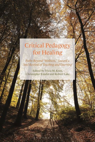 Tricia Kress, Christopher Emdin, Robert Lake - Critical Pedagogy for Healing, Inbunden