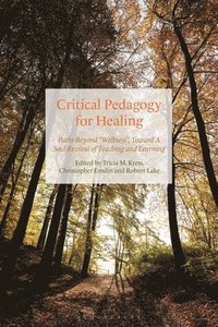 bokomslag Critical Pedagogy for Healing