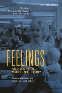 bokomslag Feelings and Work in Modern History