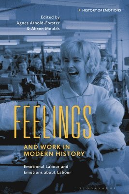 bokomslag Feelings and Work in Modern History