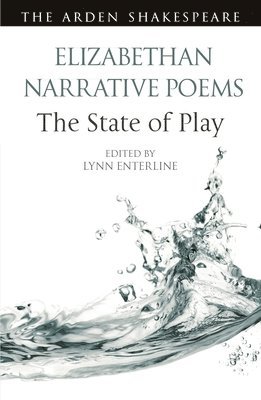 bokomslag Elizabethan Narrative Poems: The State of Play