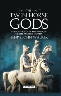bokomslag Twin Horse Gods