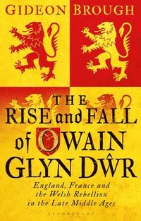 bokomslag The Rise and Fall of Owain Glyn Dwr
