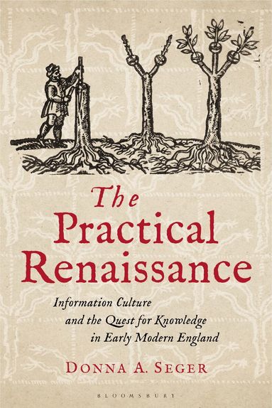 Donna A. Seger - Practical Renaissance, Inbunden