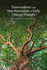 bokomslag Transcendence and Non-Naturalism in Early Chinese Thought
