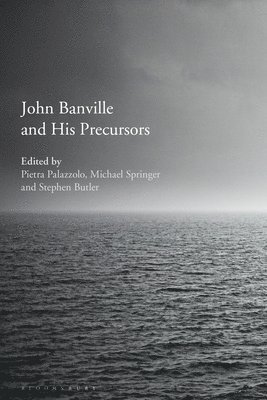 John Banville and His Precursors 1
