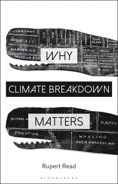 bokomslag Why Climate Breakdown Matters