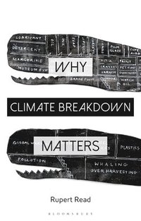bokomslag Why Climate Breakdown Matters