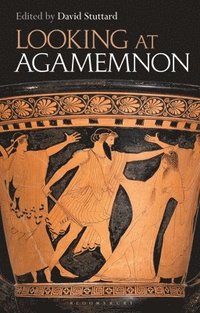 bokomslag Looking at Agamemnon