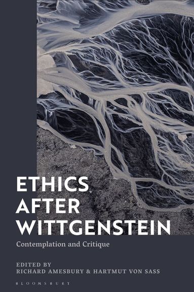 Richard Amesbury, Hartmut von Sass - Ethics after Wittgenstein, Häftad