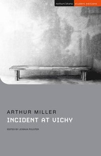 bokomslag Incident at Vichy