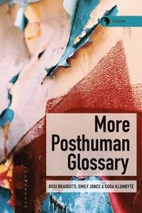 bokomslag More Posthuman Glossary