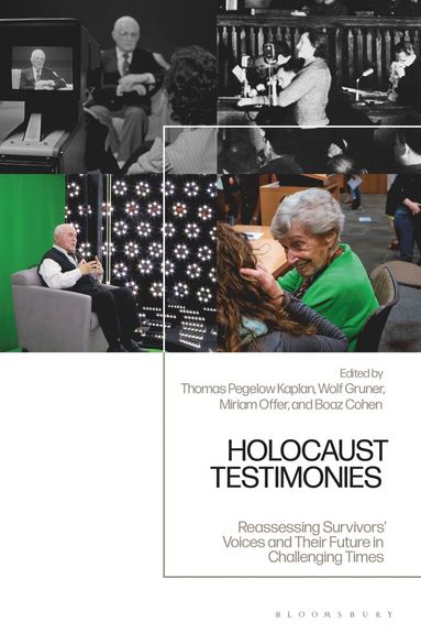 bokomslag Holocaust Testimonies