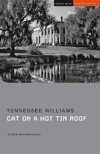 bokomslag Cat on a Hot Tin Roof