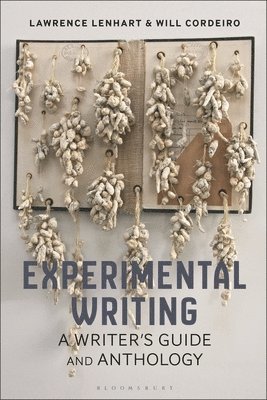 Experimental Writing 1