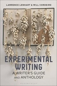 bokomslag Experimental Writing