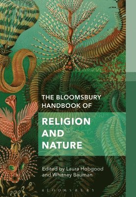 bokomslag Bloomsbury Handbook of Religion and Nature