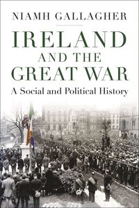 bokomslag Ireland and the Great War