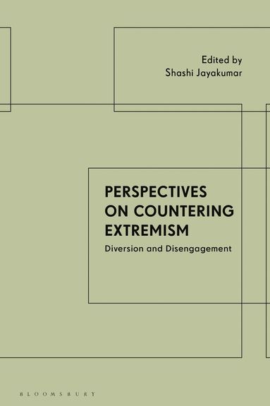 bokomslag Perspectives on Countering Extremism