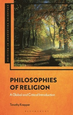 Timothy Knepper, USA) Knepper, Professor Timothy (Drake University, J. Aaron Simmons, J Aaron Simmons, Kevin Schilbrack - Philosophies of Religion, Häftad