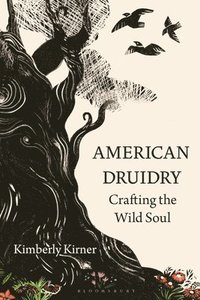 bokomslag American Druidry