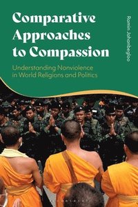 bokomslag Comparative Approaches to Compassion