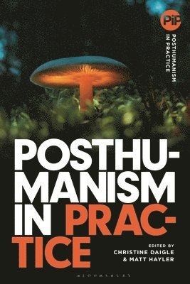 Posthumanism in Practice 1