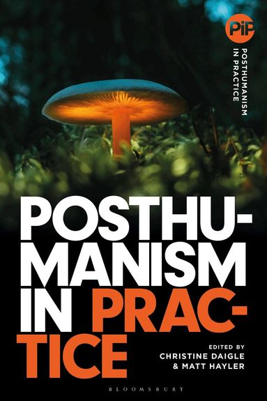 Christine Daigle, Matthew Hayler - Posthumanism in Practice, Häftad