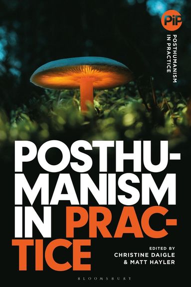 bokomslag Posthumanism in Practice