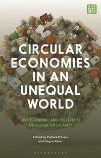 bokomslag Circular Economies in an Unequal World