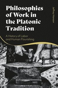 bokomslag Philosophies of Work in the Platonic Tradition