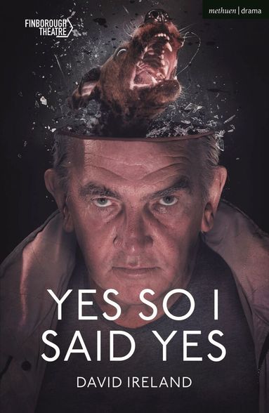 David Ireland - Yes So I Said Yes, Häftad