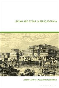 bokomslag Living and Dying in Mesopotamia