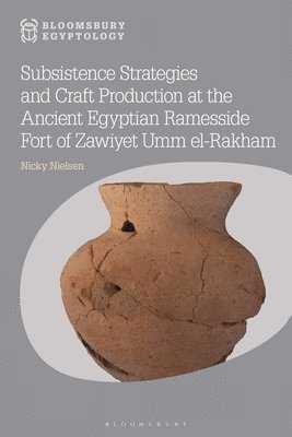 bokomslag Subsistence Strategies and Craft Production at the Ancient Egyptian Ramesside Fort of Zawiyet Umm El-Rakham