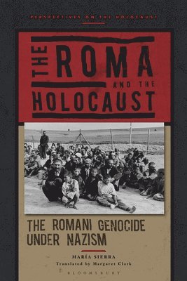 bokomslag The Roma and the Holocaust