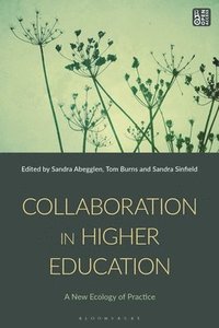 bokomslag Collaboration in Higher Education