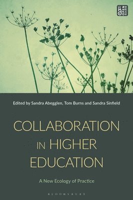 Collaboration in Higher Education 1