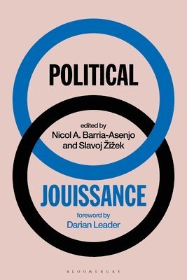 bokomslag Political Jouissance