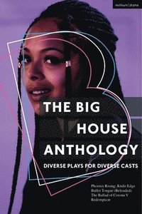 bokomslag The Big House Anthology: Diverse Plays for Diverse Casts