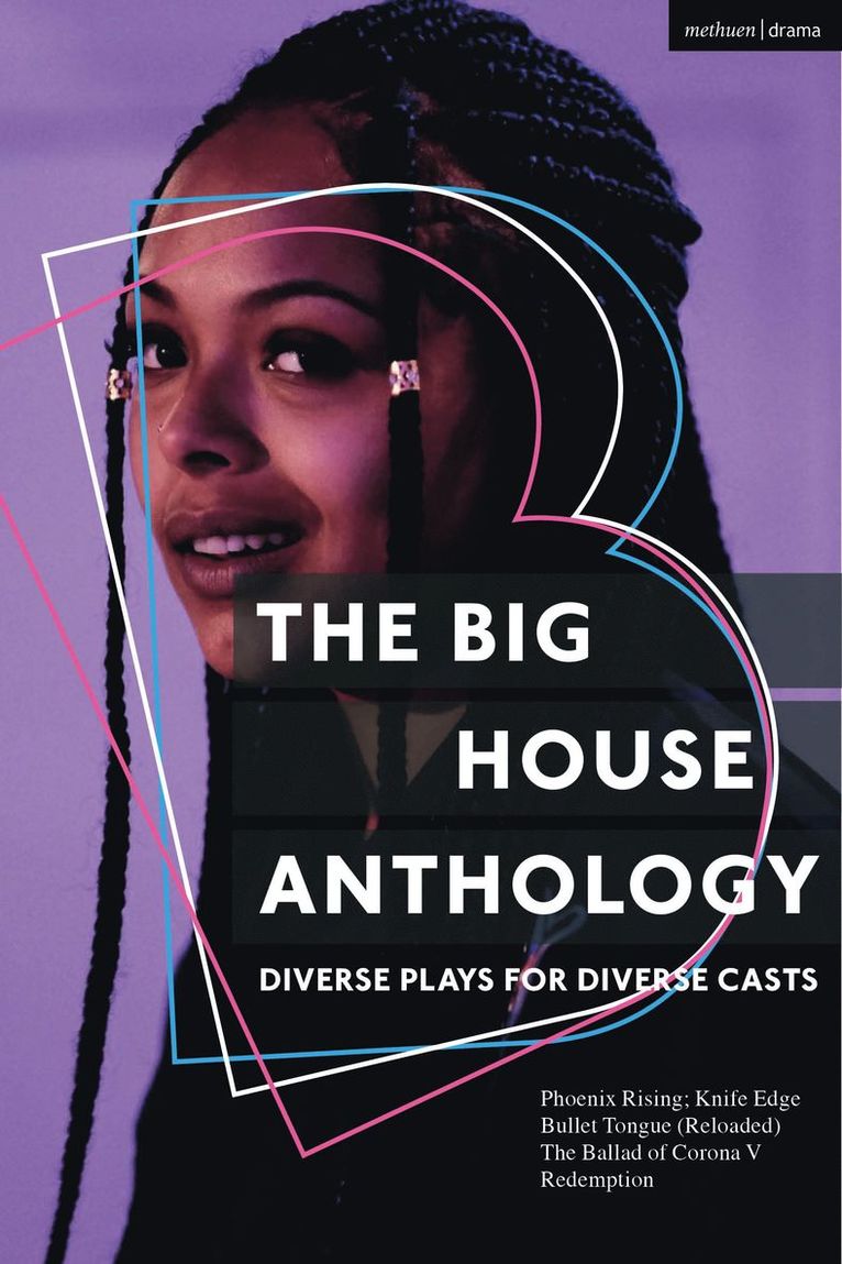 David Watson, Andy Day, James Meteyard, The Big House - Big House Anthology: Diverse Plays for Diverse Casts, Häftad