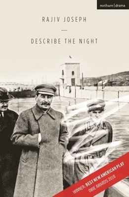 Rajiv Joseph - Describe the Night, Häftad