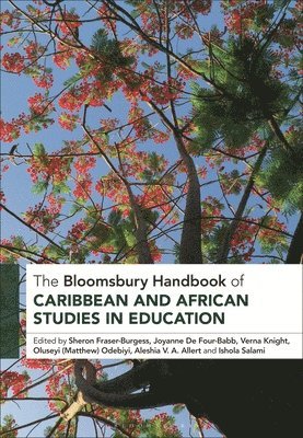 Sheron Fraser-Burgess, Joyanne de Four-Babb, Verna Knight, Odebiyi, Aleshia V a Allert, Ishola Salami - The Bloomsbury Handbook of Caribbean and African Studies in Education, Häftad