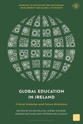 bokomslag Global Education in Ireland