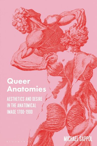 bokomslag Queer Anatomies