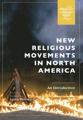 bokomslag New Religious Movements in North America