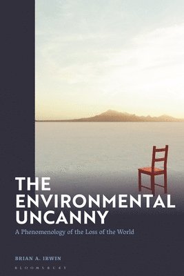 The Environmental Uncanny 1