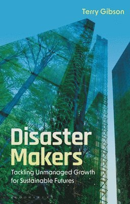 bokomslag Disaster Makers