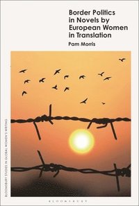 bokomslag Border Politics in Novels by European Women in Translation