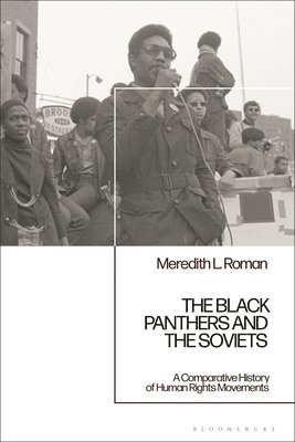 bokomslag Black Panthers and the Soviets